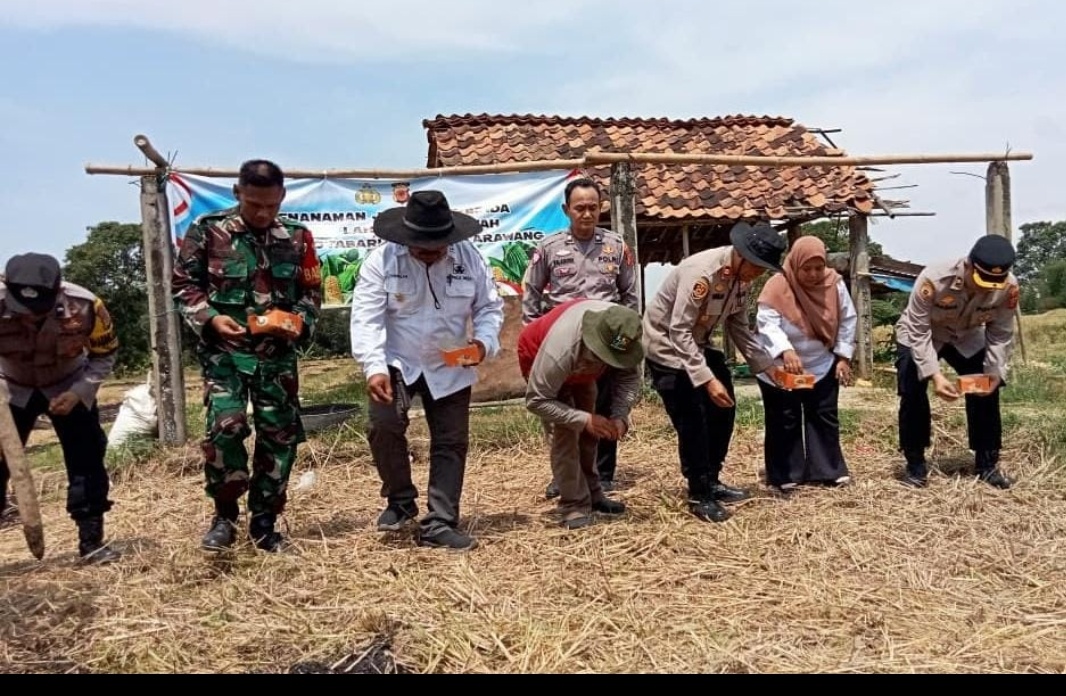 Dukung Nawacita Presiden Desa Pangulah Kotabaru Baru Tanam Jagung Hibrida seluas 3 Hektar