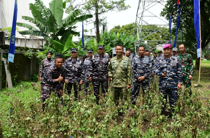 Pangkalan TNI Angkatan Laut Bandung Gelar Panen Raya Kacang Kedelai Secara Serentak oleh TNI AL